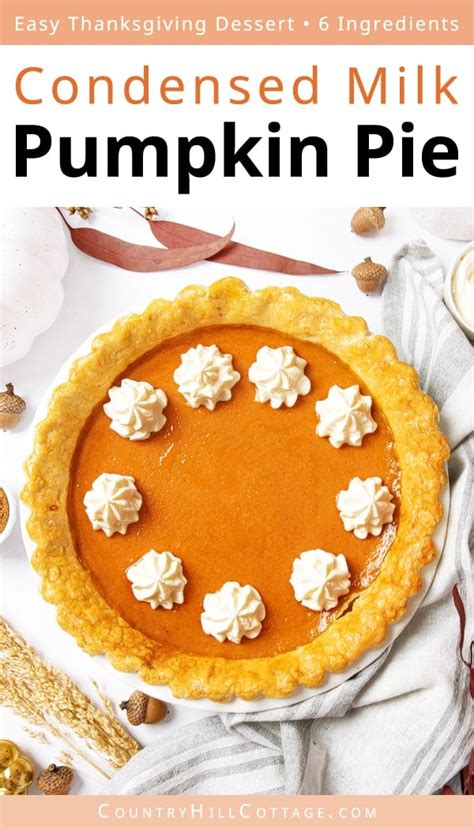 Condensed Milk Pumpkin Pie