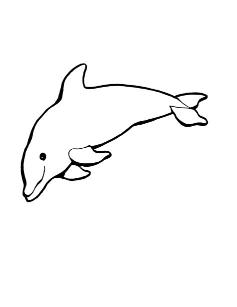 Baby Dolphin Coloring Pages Free Download On Clipartmag