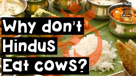 Why Dont Hindus Eat Beef Hindu Dietary Practices Explained Youtube