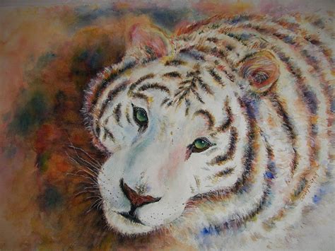 White Bengal Tiger Watercolor Painting By Carolyn Gray