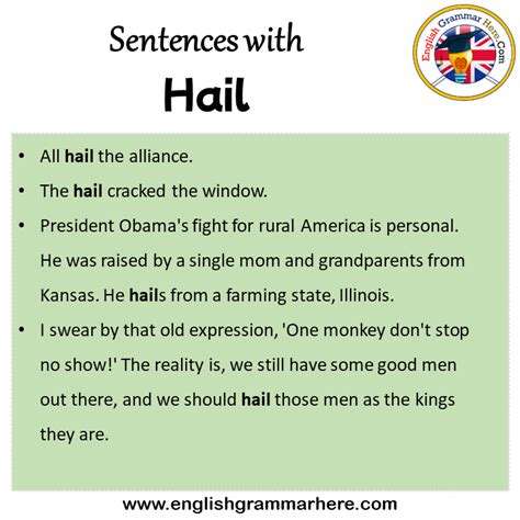 Sentences With Hail Hail In A Sentence In English Sentences For Hail