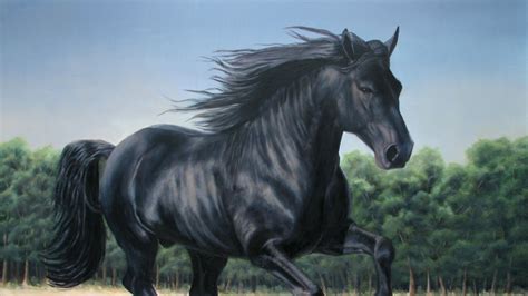 Free Download Black Horse Wallpaper Photos Of Beautiful Black Horse