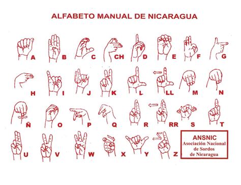 Aprendiendo Lenguaje De Señas Nicaragüense Asb América Latina