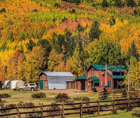 Fall Leaves In Colorado Springs