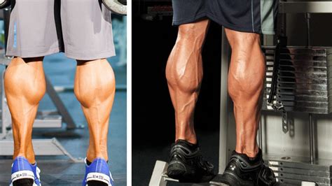 Gastrocnemius Muscle Exercises