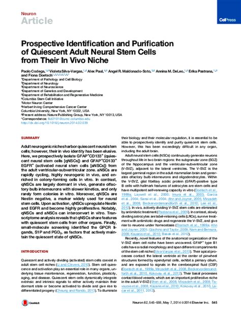 Pdf Prospective Identification And Purification Of Quiescent Adult