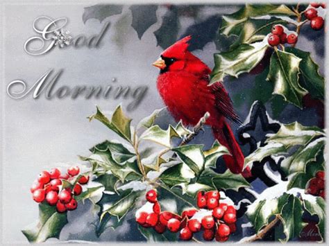 Red Cardinal On A Snowy Morning Winter Wonderland Pinterest