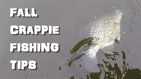 Fall Crappie Fishing Tips Fishing High Water Youtube