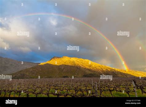 Rainbow Over The Vineyards Stock Photo Alamy