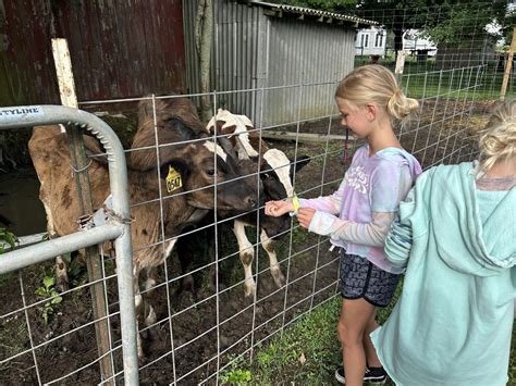 Wednesday Hump Day Funny Farm Petting Zoo Berlin October 4 2023