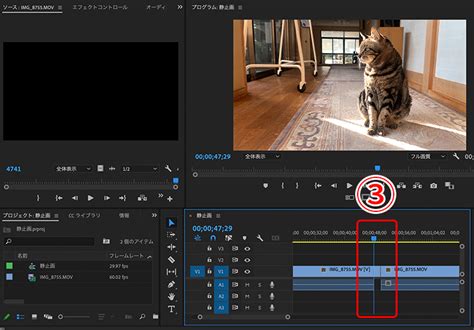 Premiere Proで動画を静止画にする技と静止画の編集方法 ドウガク