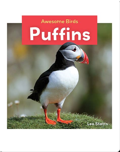 Puffins Childrens Book By Leo Statts Discover Childrens Books