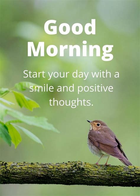 See more ideas about morning encouragement, good morning quotes, morning greetings quotes. 150 Unique Good Morning Quotes and Wishes - My Happy Birthday Wishes