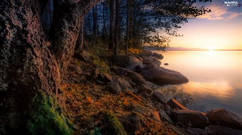 Province Of Western Finland Finland Pirkanmaa Region Nsijrvi Lake