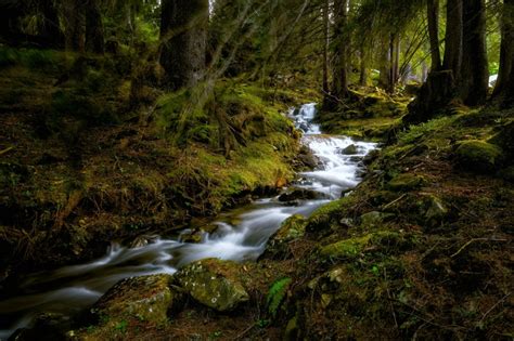 1371425 4k 5k Switzerland Forests Stones Stream Moss Trees