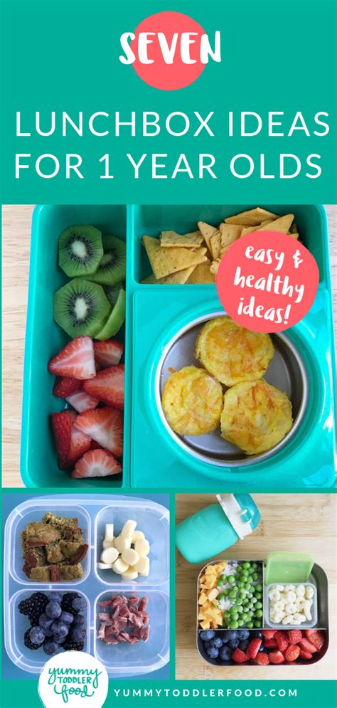Recipe ideas for 12 month baby. 7 Lunch Box Ideas for 1 Year Olds | Baby food recipes ...