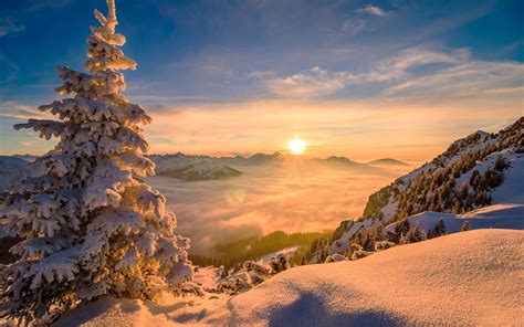 Nature Sun Winter Pine Trees Trees Snow Mountains Mist Sunrise Wallpapers Hd Desktop