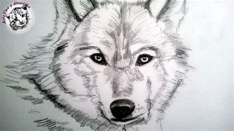 Como Dibujar Un Lobo A Lapiz Paso A Paso Como Dibujar Animales Con