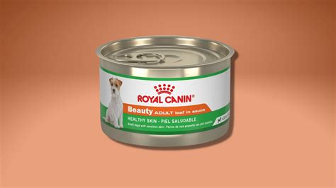 10 Best Dog Food Brands For Every Pup