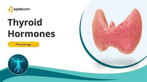 Thyroid Hormones Introduction