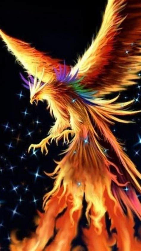 Cool Phoenix Wallpapers Top Free Cool Phoenix Backgrounds