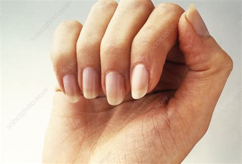 Womans Hand Stock Image P7010179 Science Photo Library