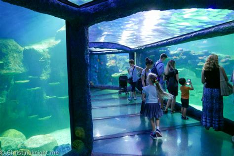 Sea Life Sydney Aquarium Location