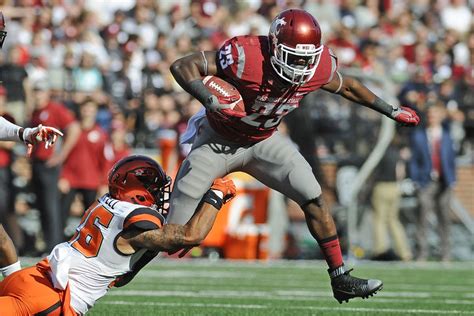 Wsu Vs Oregon State Football Gameday Coverage Of Homecoming Cougcenter