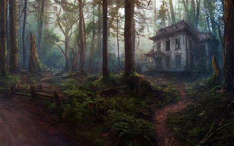 Old House In The Forest