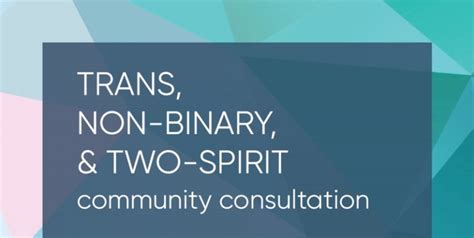 Trans Non Binary And Two Spirit Community Consultation Ambit Gender