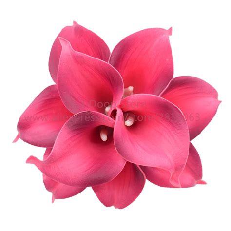 Aliexpress Com Buy Real Touch Wine Red Calla Lilies For Wedding