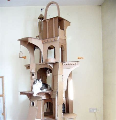 Guy Creates Epic Cardboard Structures For His Cat Gallery