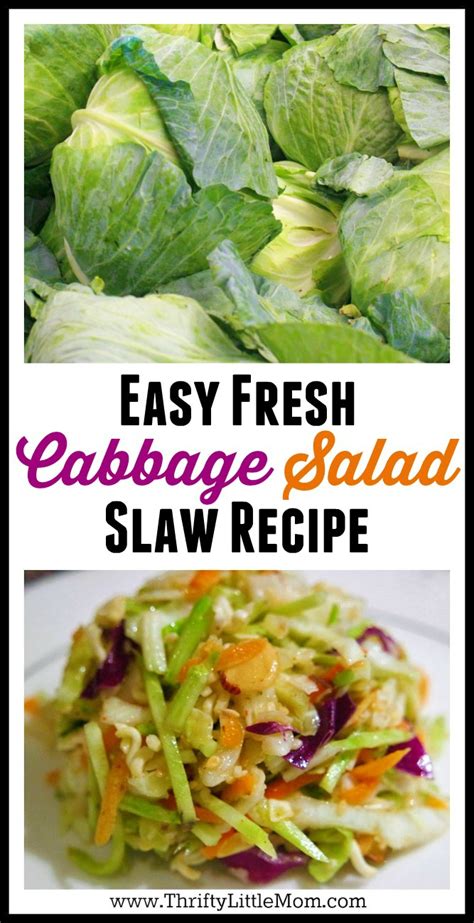 Easy Fresh Cabbage Salad Coleslaw Recipe Thrifty Little Mom