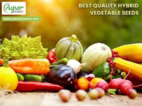 Hybrid Vegetable Seeds Suppliers Wholesalers Manufacturers And Exporters