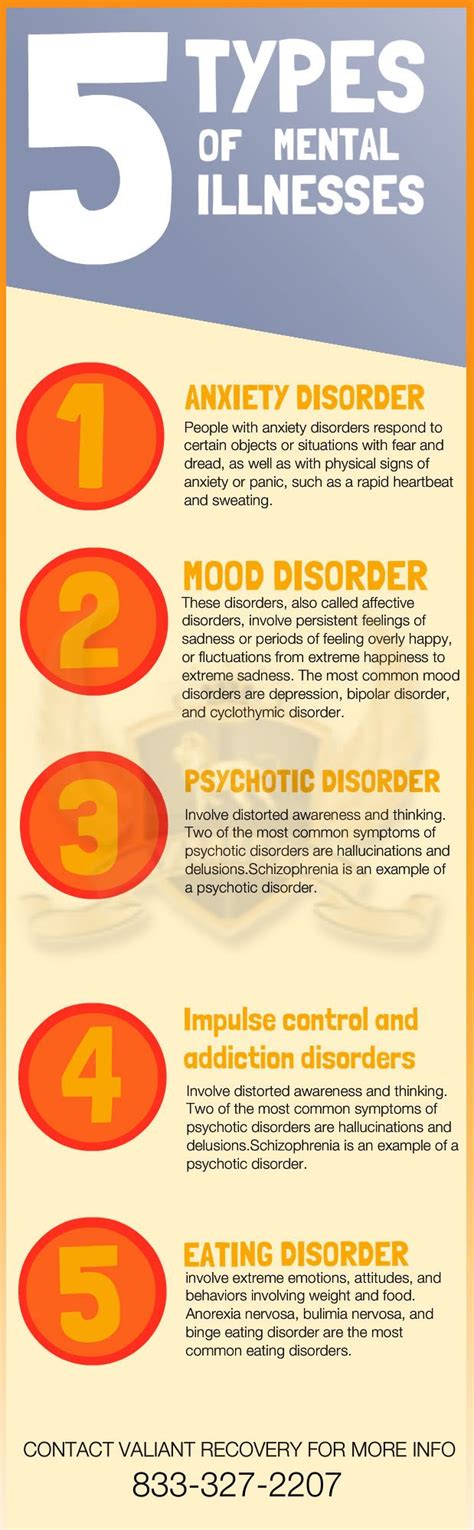 5 Types Of Mental Illnesses Valiant Recovery 1 877 958 8247
