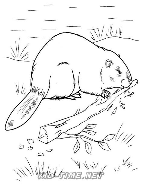 Select from premium mountain beaver of the highest quality. Beaver - Kids Time Fun Places to Visit and Free Coloring ...