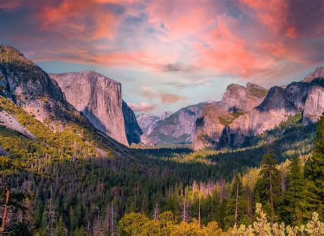 The Top 10 National Parks In The United States