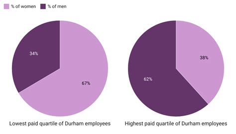 Gender Pay Gap Durham Ranks 140th Out Of 161 Higher Education Institutions Palatinate