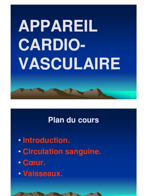 Anatomie Appareilcardio Vasculairepdf Vaisseau Sanguin Cœur