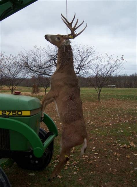 Biggest Deer Ever Killed In Alabama