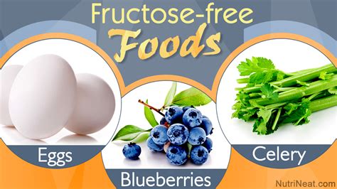 After you go through the list of foods to avoid, make sure to read our summary of dr. A List of Fructose-free Food Which Food Suit in Your Diet ...