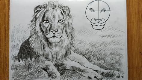 Lion Pencil Drawing Original Graphite Pencil Drawing Forumiktvasa