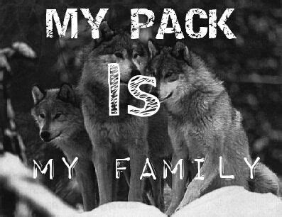 Why are we so motivated by wolf quotes? Wolf Quotes (2) - Wolf & Husky