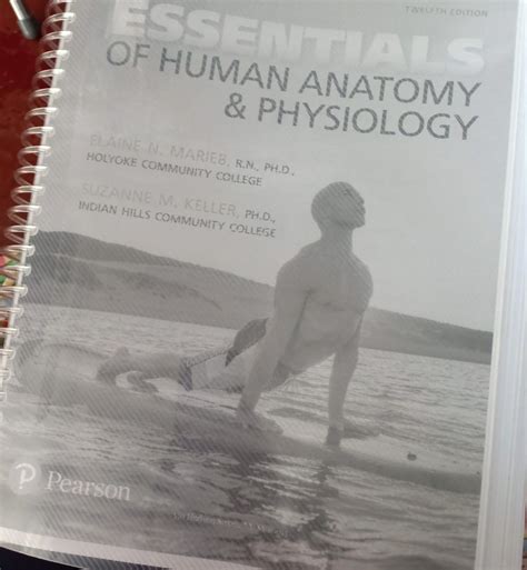 Essentials Of Human Anatomy And Physiology 12th Edition By Marieb