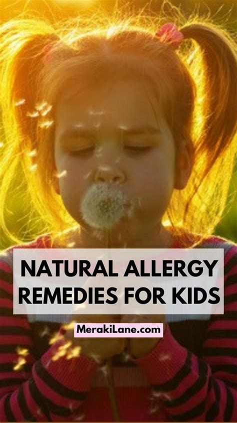 Natural Allergy Remedies For Kids An Immersive Guide By Meraki Lane