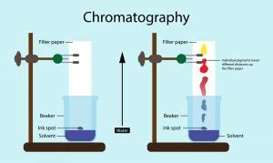 Chromatography Definition Types And More Solution Parmacy