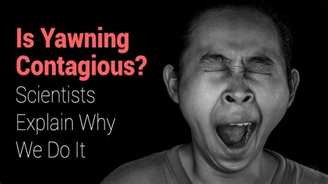 Is Yawning Contagious Scientists Explain Why We Do It 5 Min Read In