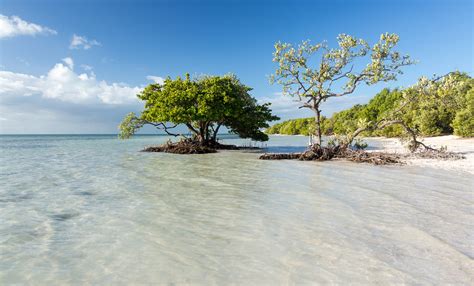 Beaches In The Florida Keys Marathon Island Breeze Vacations