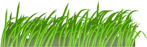 Grass Png Image Green Grass Png Picture Transparent Image Download