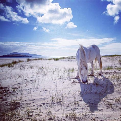 Visitscotland On Instagram The Unicorn Scotlands National Animal